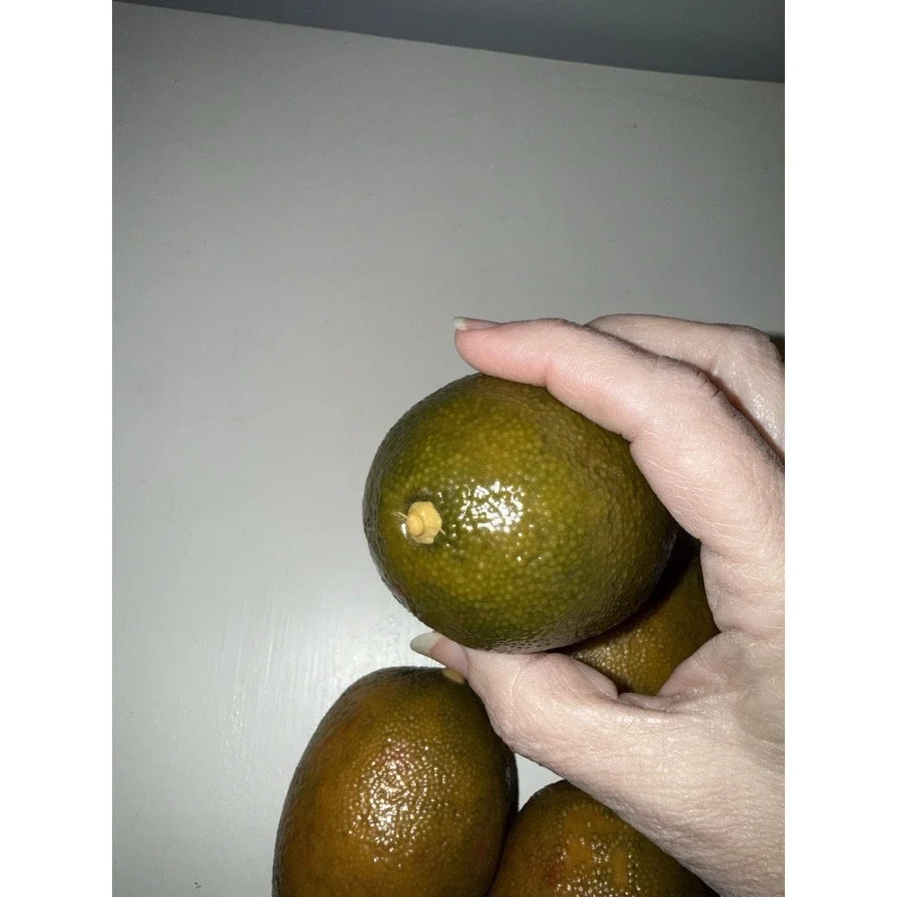 Limes Artificial Faux Fake Fruit Yellow 4Pc Lot Home Decor Realistic Lightweight